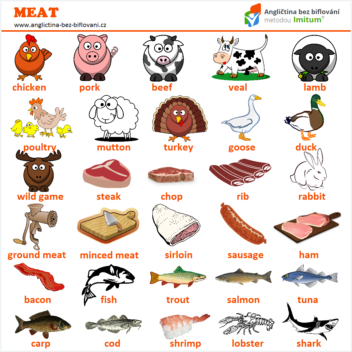 Anglická slovíčka jídlo - maso