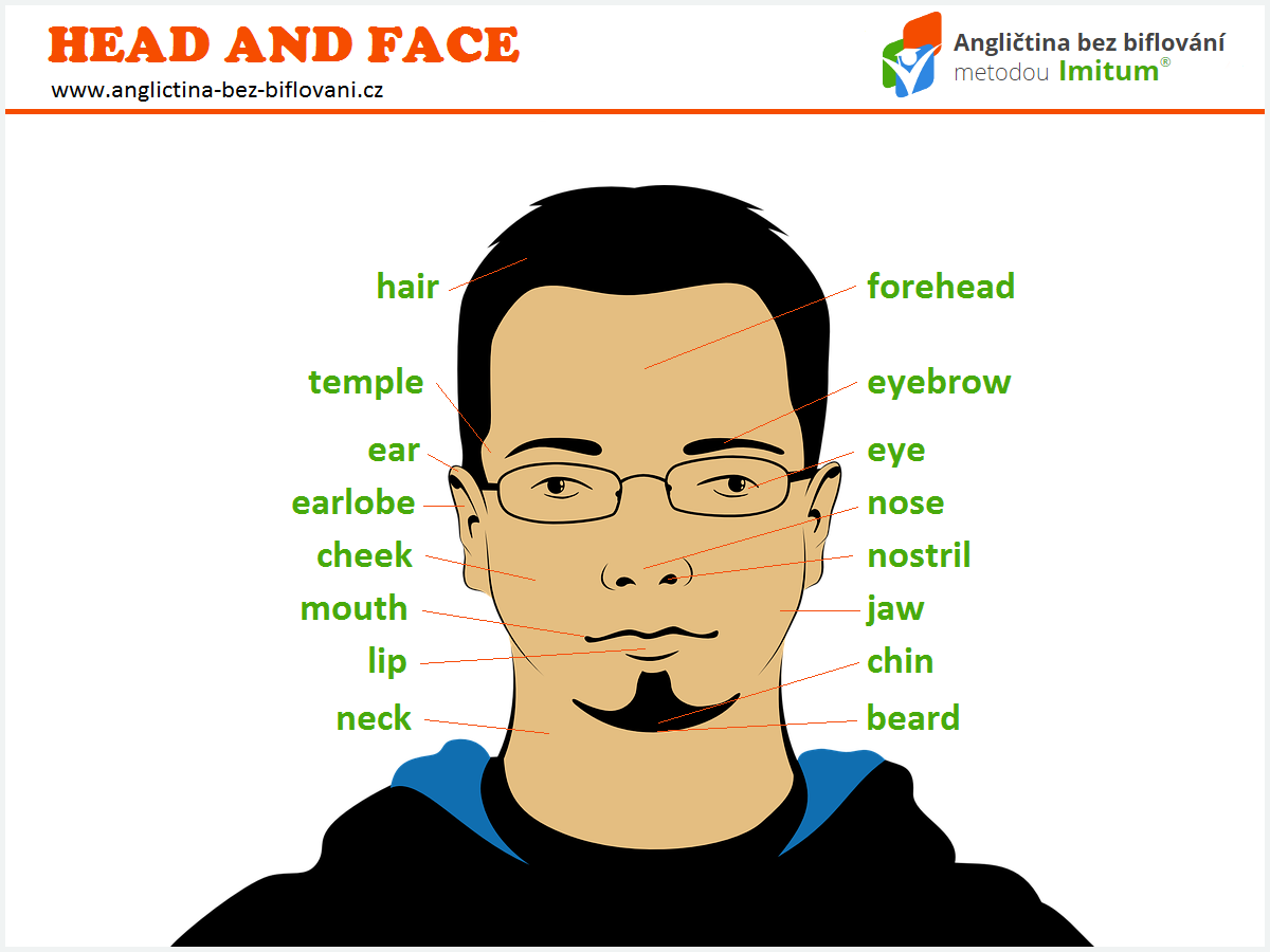 Anglická slovíčka lidské tělo - hlava a obličej
